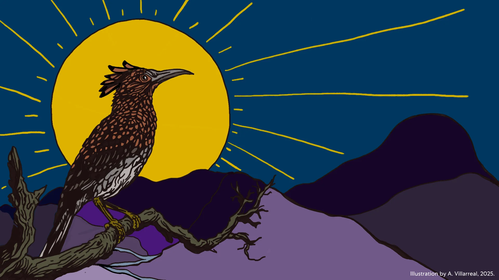 The hoopoe bird against a golden sun, illustrated by A. Villarreal
