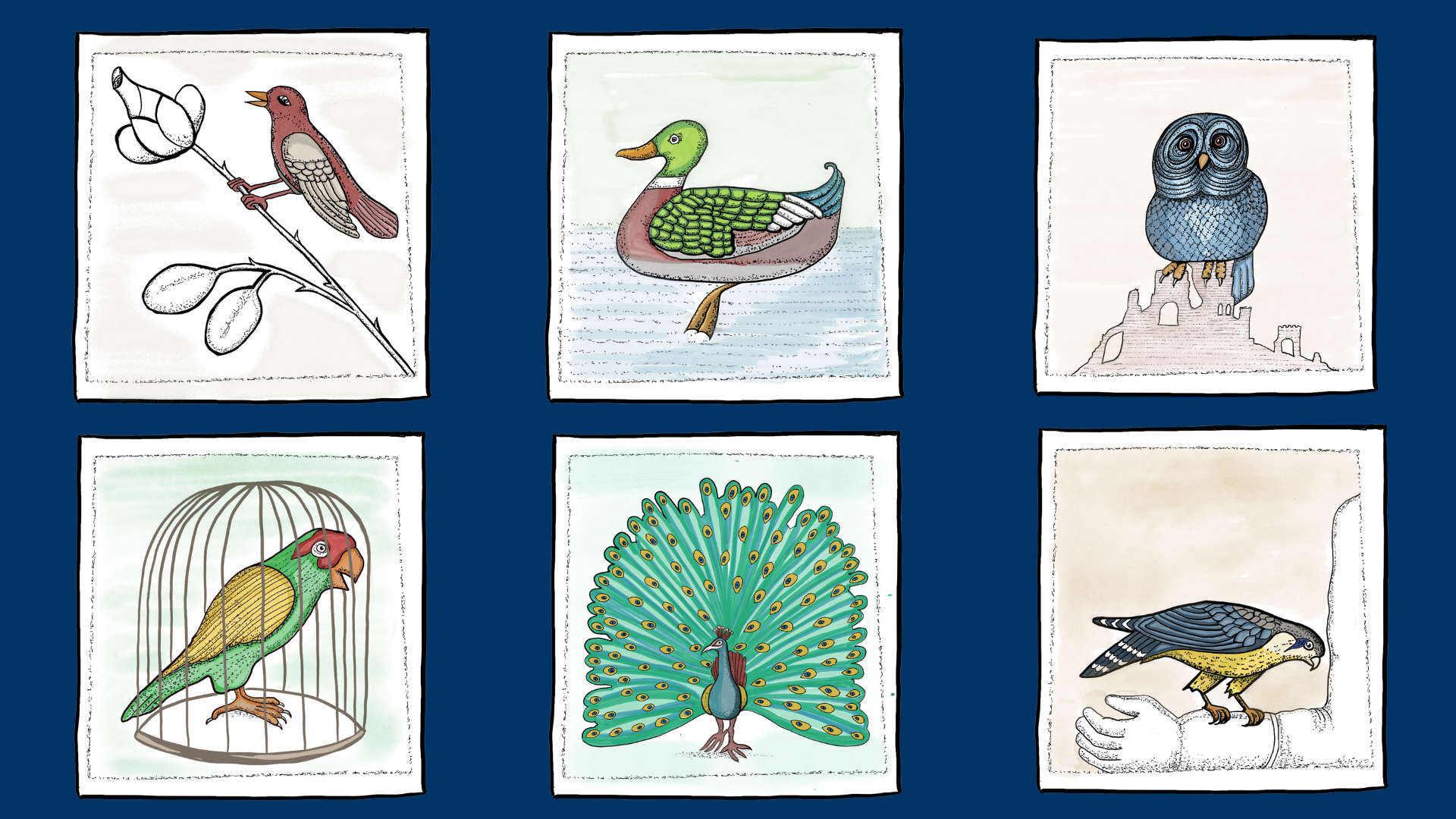 Six illustrated birds: the nightingale, duck, owl, parrot, peacock, and falcon