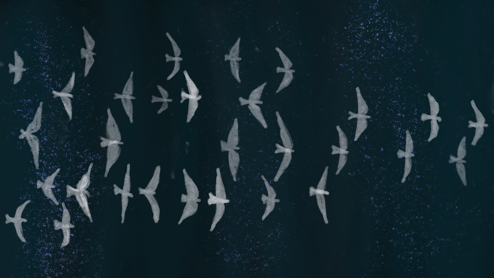 Thirty birds flying together in a dark night sky — the survivors of the journey
