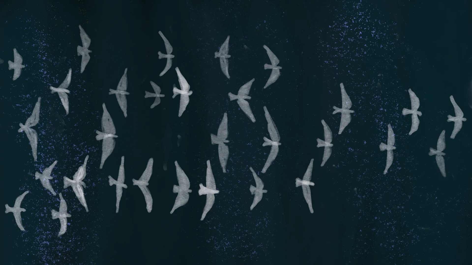 Thirty birds flying together in a dark night sky — the survivors of the journey